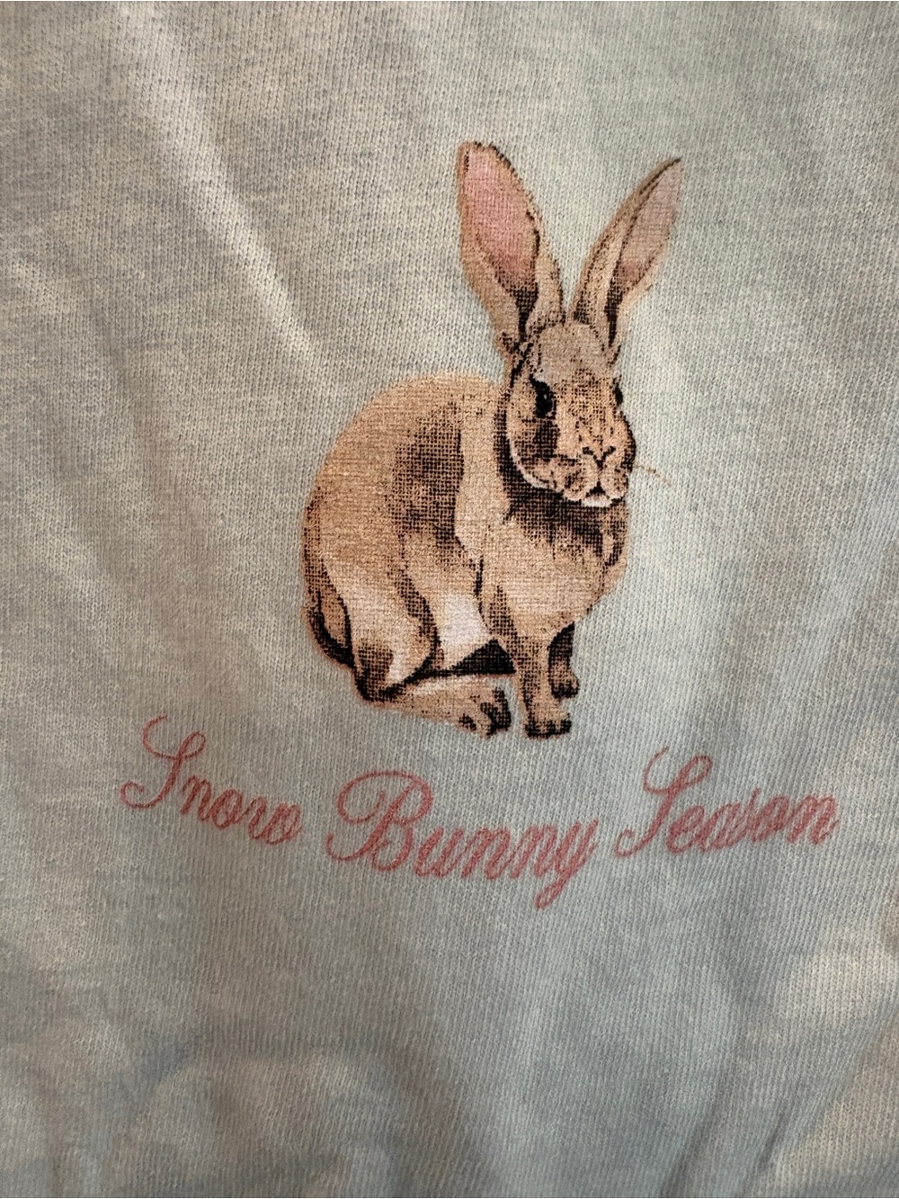 Women’s Snow Bunny Season Graphic Long Sleeve tee Nordstrom